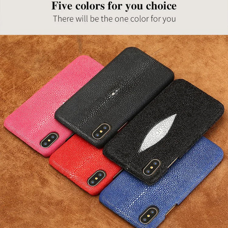 iPhone Case iPhone 17 Pro Max / Black ZenithXCase