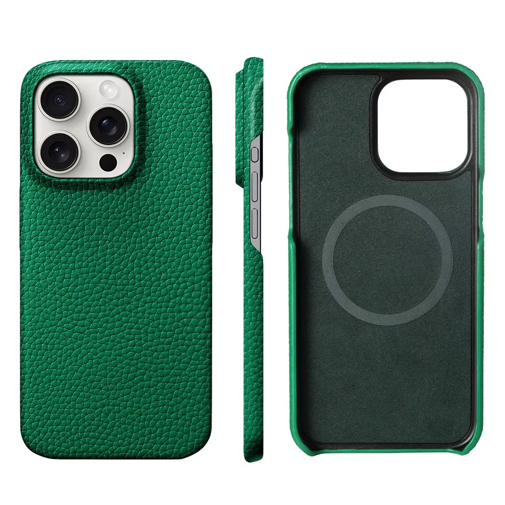 iPhone Case iPhone 17 Pro Max / Green ZenithXCase